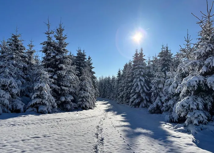 Daire Haus Aktiv Panorama2 Winterberg