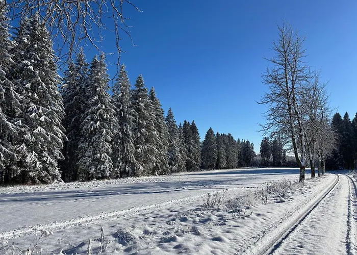 Haus Aktiv Panorama2 * ヴィンターベルク